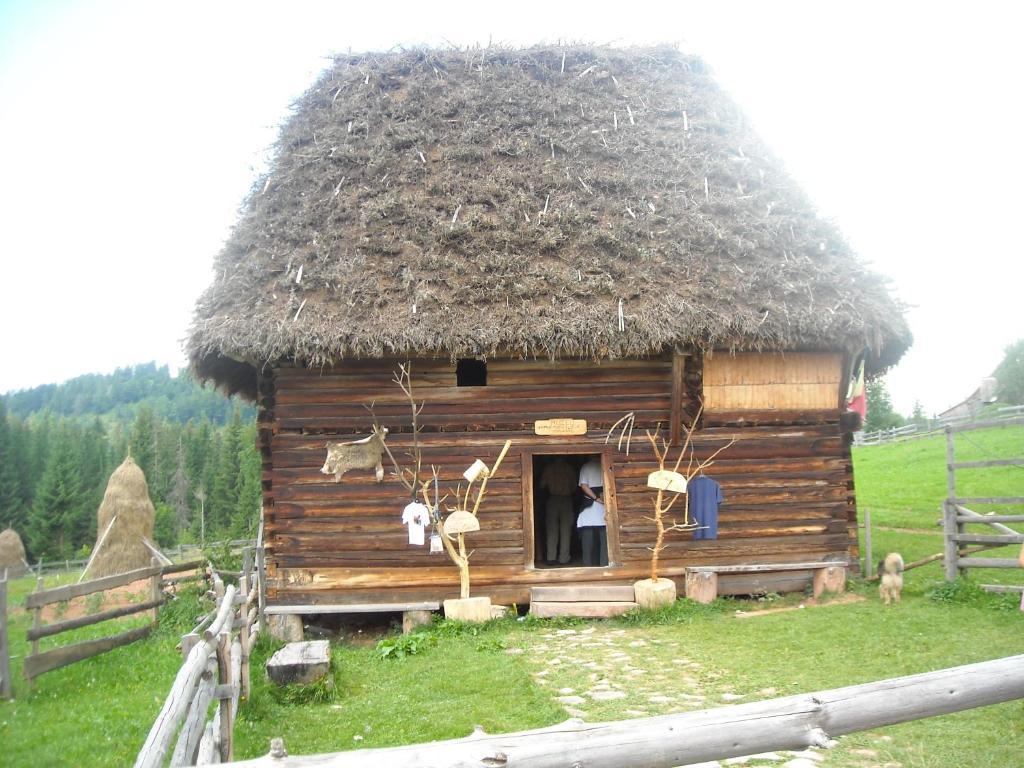 Pension Doru Belis Exterior photo